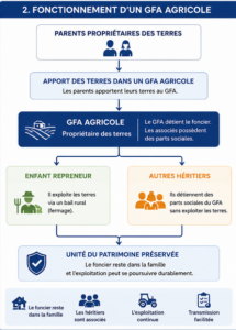 Schéma expliquant le fonctionnement d'un GFA agricole lors de la transmission des terres agricoles entre parents, repreneur et héritiers.