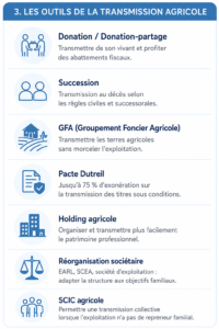 Outils de transmission agricole : donation-partage, succession, GFA, Pacte Dutreil, holding agricole et réorganisation sociétaire.